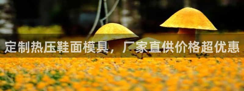 emc易倍的服务优势