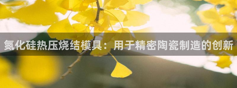 易倍emc网址网页版本登陆：氮化硅热压烧结模具：用于精密