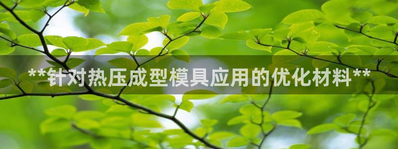四川易倍易企业管理有限公司：**针对热压成型模具应用的优