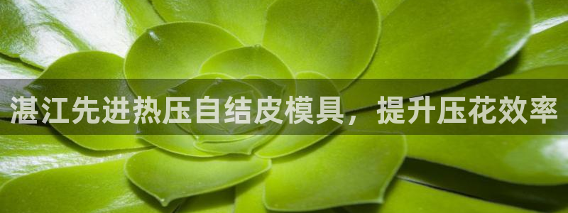 易倍网络技术有限公司是干嘛的