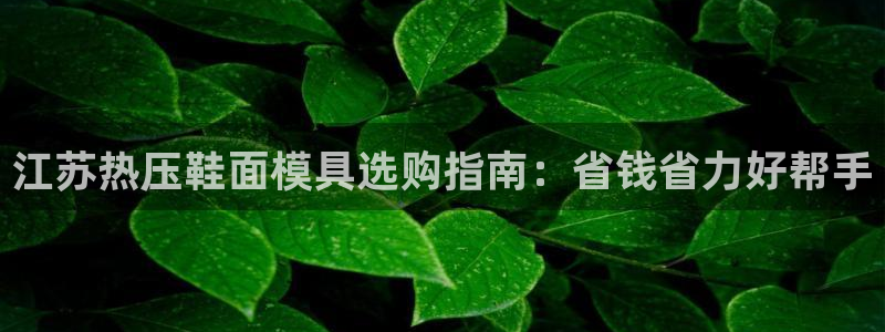 易倍申安理申区别