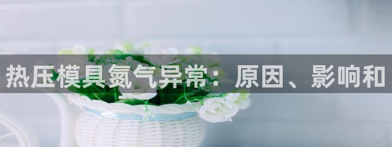 emc登录网站：热压模具氮气异常：原因、影响和