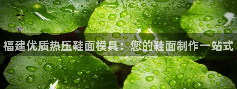 易倍电竞,有球必应