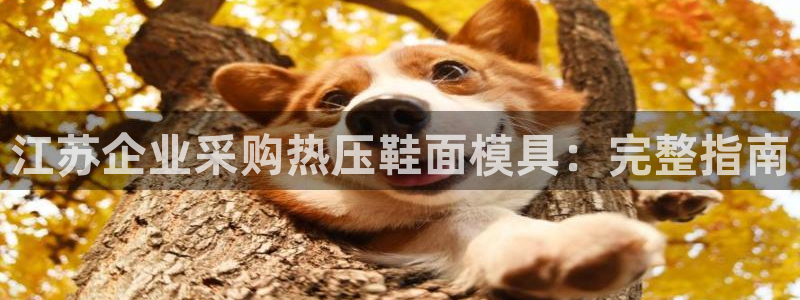 EMC易倍让身份验证：江苏企业采购热压鞋面模具：完整指南