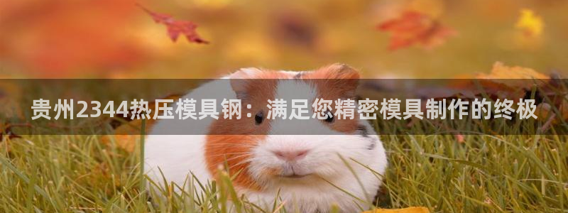 emc低频：贵州2344热压模具钢：满足您精密模具制作的