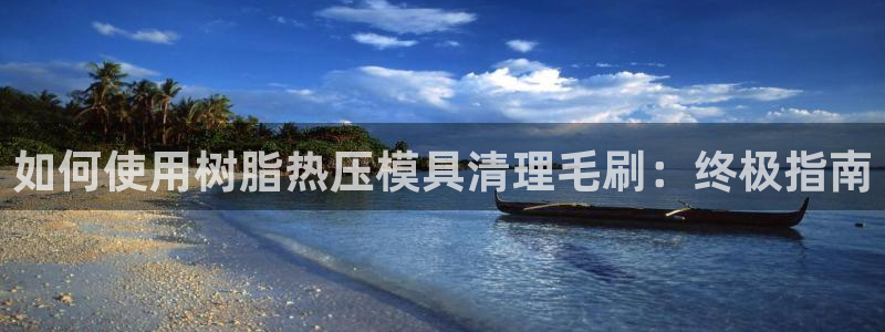emc全站app下载：如何使用树脂热压模具清理毛刷：终极