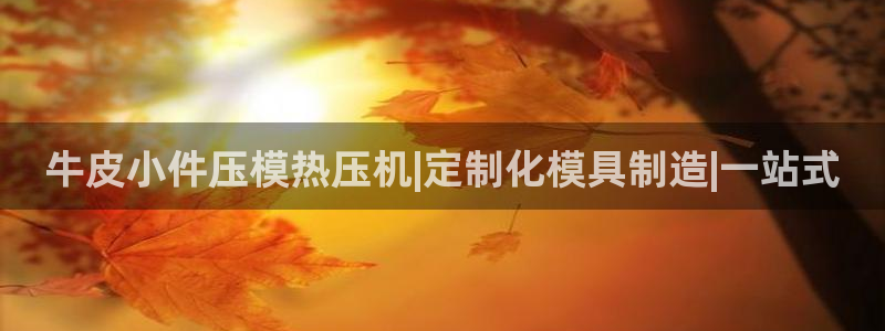 易倍纤能减肥吗：牛皮小件压模热压机|定制化模具制造|一站