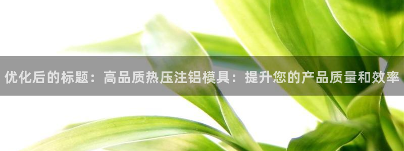 易倍易倍单词官方网站：优化后的标题：高品质热压注铝模具：