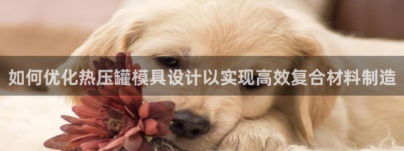易倍申可以长期服用吗：如何优化热压罐模具设计以实现高效复