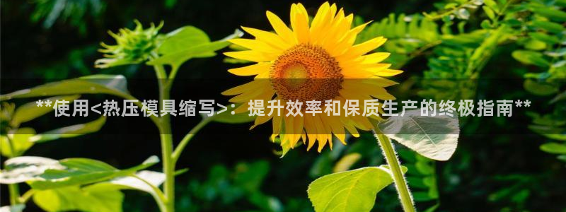 易倍申和易倍清的区别：**使用<热压模具缩写>：提升效率