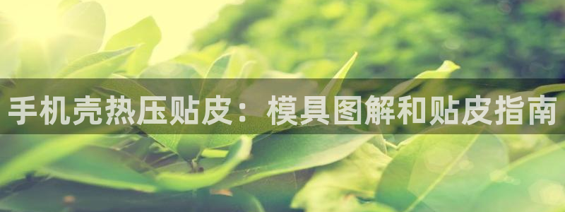 emc全站网页版