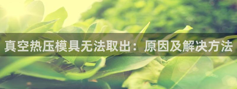 易倍思教育