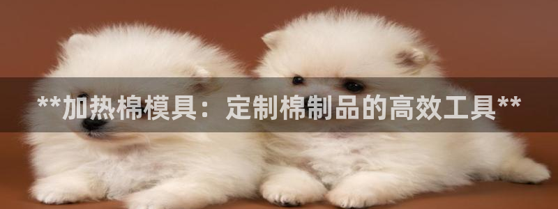 emc易倍全站：**加热棉模具：定制棉制品的高效工具**
