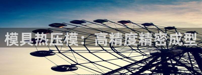 易倍达科技有限公司：模具热压模：高精度精密成型