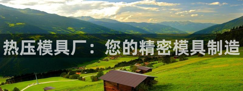 emc易倍官网：热压模具厂：您的精密模具制造