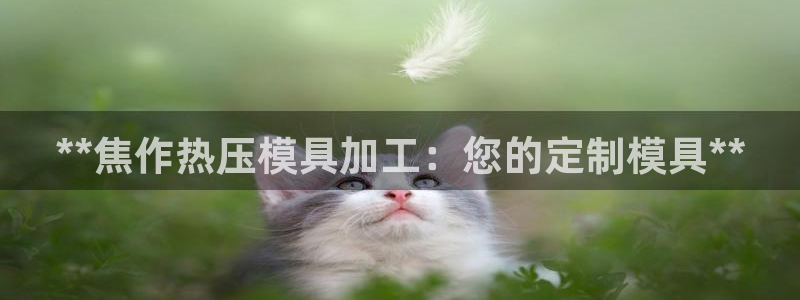 Emc易赔体育：**焦作热压模具加工：您的定制模具**
