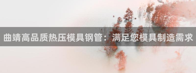 易倍康简历：曲靖高品质热压模具钢管：满足您模具制造需求