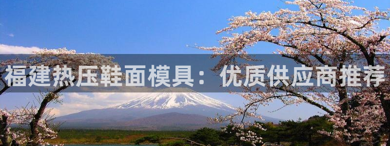 emc备份软件：福建热压鞋面模具：优质供应商推荐