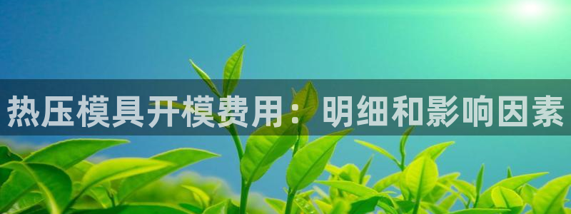 易倍单词平台：热压模具开模费用：明细和影响因素
