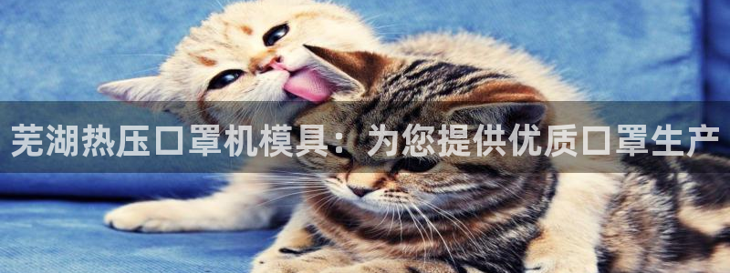 易倍单词app官网：芜湖热压口罩机模具：为您提供优质口罩