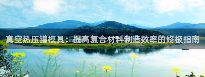 易倍达科技有限公司代运营：真空热压罐模具：提高复合材料制