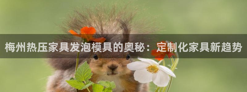 emc易倍下载