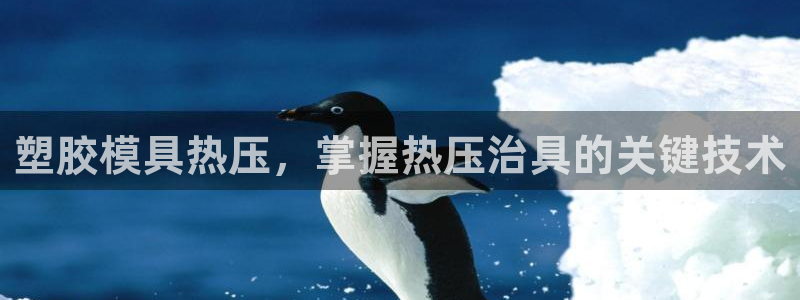 易倍达科技有限公司