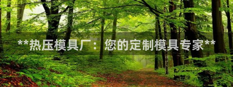 emc易倍下载：**热压模具厂：您的定制模具专家**