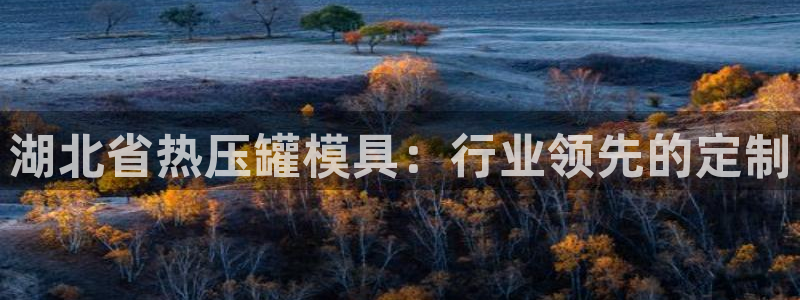 易倍emc全站：湖北省热压罐模具：行业领先的定制