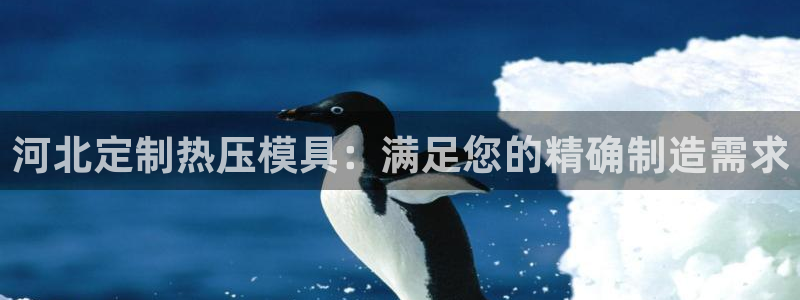 emc易倍：河北定制热压模具：满足您的精确制造需求