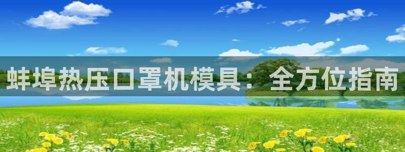 易倍纤代餐粉能减肥吗：蚌埠热压口罩机模具：全方位指南