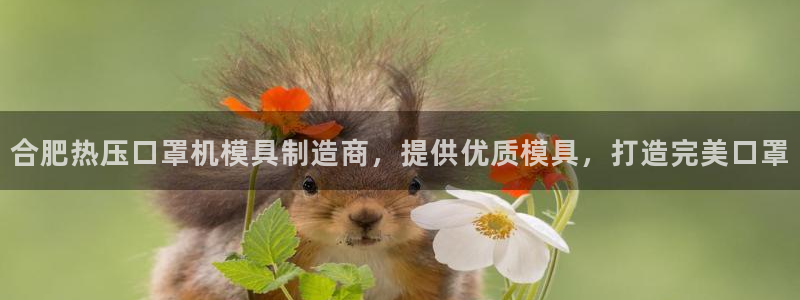 emc倍频干扰怎么解决：合肥热压口罩机模具制造商，提供优