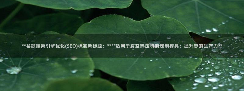 易倍网络技术有限公司怎么样：**谷歌搜索引擎优化(SEO