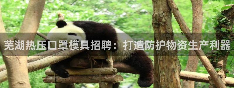 emc易倍出空款：芜湖热压口罩模具招聘：打造防护物资生产