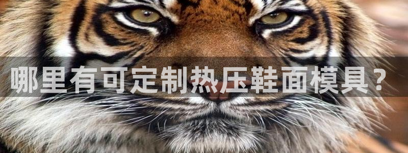 emc易倍官网首页进入