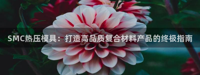 emc易倍：SMC热压模具：打造高品质复合材料产品的终极