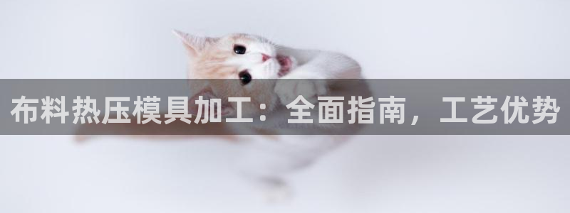 emc网页版：布料热压模具加工：全面指南，工艺优势
