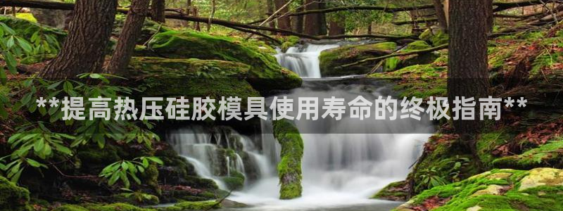 易倍思怎么样：**提高热压硅胶模具使用寿命的终极指南**