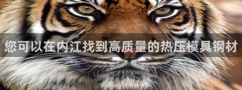emc易倍全站官网：您可以在内江找到高质量的热压模具钢材