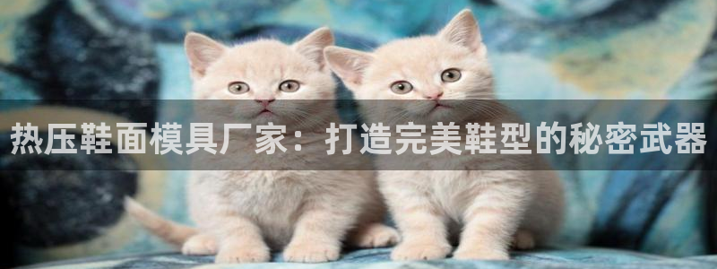 易倍易趣网