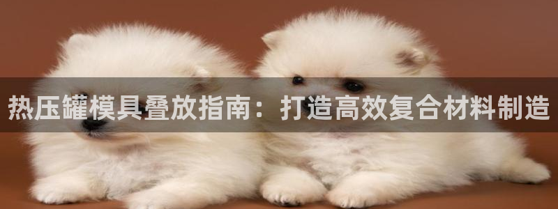 emc易倍老板：热压罐模具叠放指南：打造高效复合材料制造