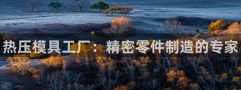 易倍网络技术有限公司怎么样：热压模具工厂：精密零件制造的