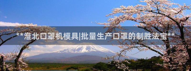 易倍单词如何下载：**淮北口罩机模具|批量生产口罩的制胜