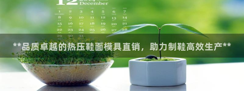 emc倍频：**品质卓越的热压鞋面模具直销，助力制鞋高效