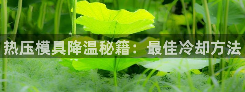 emc全站易倍：热压模具降温秘籍：最佳冷却方法