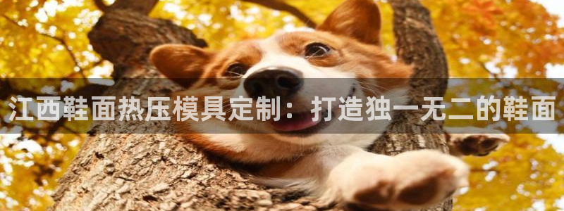 emc易倍全站官网：江西鞋面热压模具定制：打造独一无二的