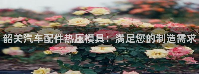 EMC易倍官方网址：韶关汽车配件热压模具：满足您的制造需