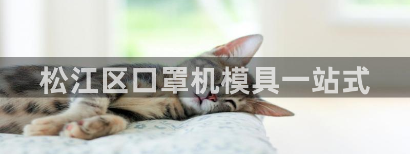 易倍申多少钱