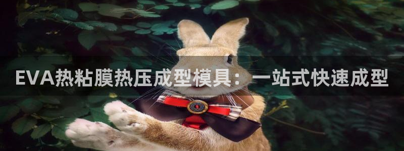 emc易倍全站官网