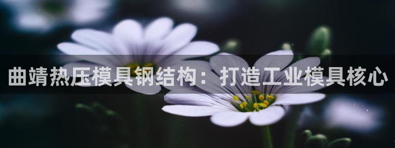 四川易倍易企业管理有限公司：曲靖热压模具钢结构：打造工业
